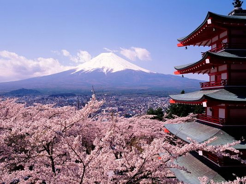 Japanese Cherry Blossom Wedding Invitation Invitations by Ajalon 39s 
