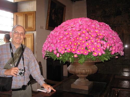 chenonceau_004.JPG - STEVE AND A BEAUTIFUL FLOWER ARRANGEMENT