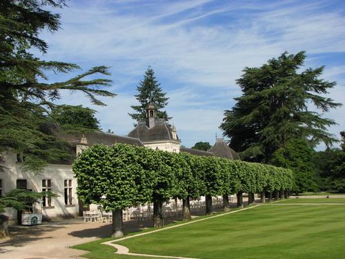 chenonceau_112.JPG